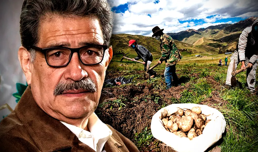 El Ministerio de Desarrollo Agrario y Riego del Perú es la institución encargada del sector agrario