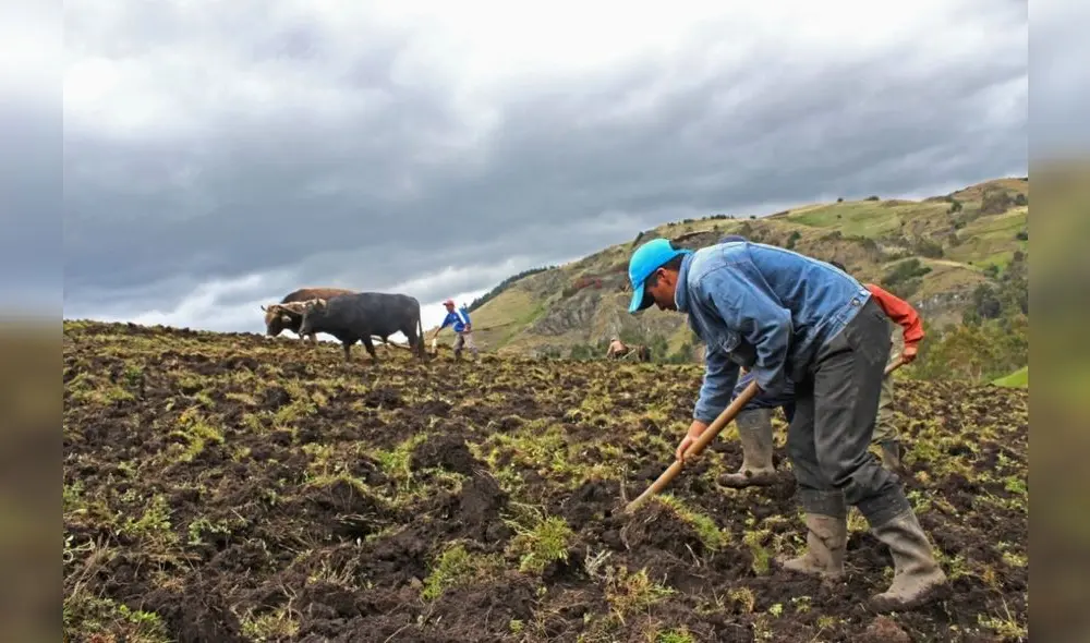 Créditos beneficiados deberán encontrarse catalogados como micro y pequeña empresa, según clasificación establecida por la SBS. Foto: Andina. Créditos beneficiados deberán encontrarse catalogados como micro y pequeña empresa, según clasificación establecida por la SBS. Foto: Andina.