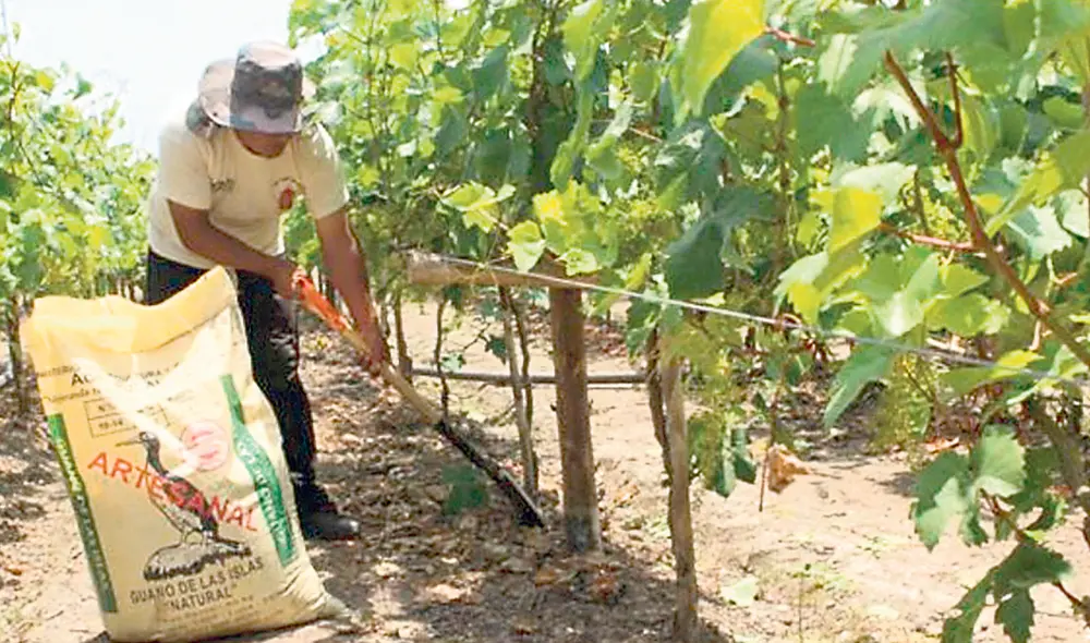 Volumen. Primera entrega de urea será menor al 40% del total. Foto: difusión