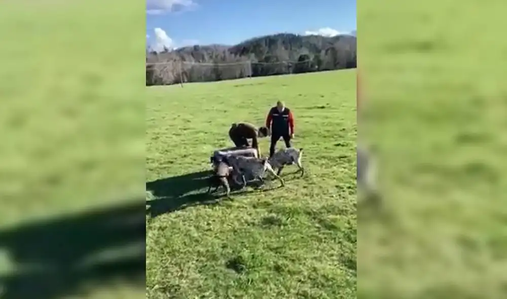 En el video aparece una tercera persona, a quien usuarios identificaron como un ciudadano austriaco que practica caza. Foto: 24horasCL/captura de YouTube En el video aparece una tercera persona, a quien usuarios identificaron como un ciudadano austriaco que practica caza. Foto: 24horasCL/captura de YouTube