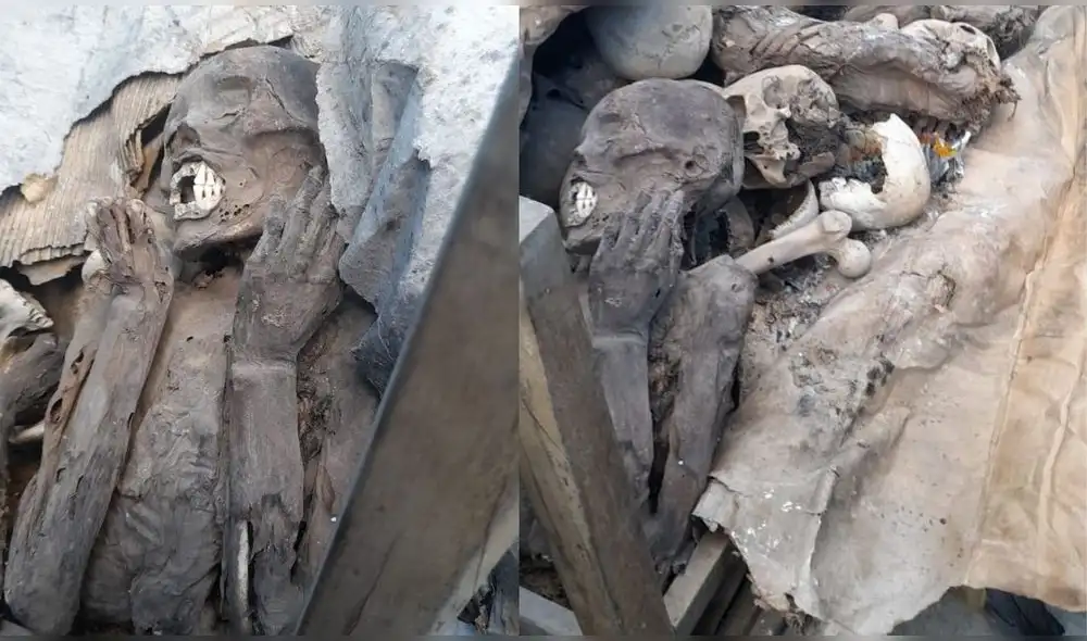 Personal del Ministerio de Cultura se encargará de realizar la prueba de carbono 14 y, de esa forma, determinar con precisión la antigüedad de los restos. Crédito: Arnaldo Mejía. Personal del Ministerio de Cultura se encargará de realizar la prueba de carbono 14 y, de esa forma, determinar con precisión la antigüedad de los restos. Crédito: Arnaldo Mejía.