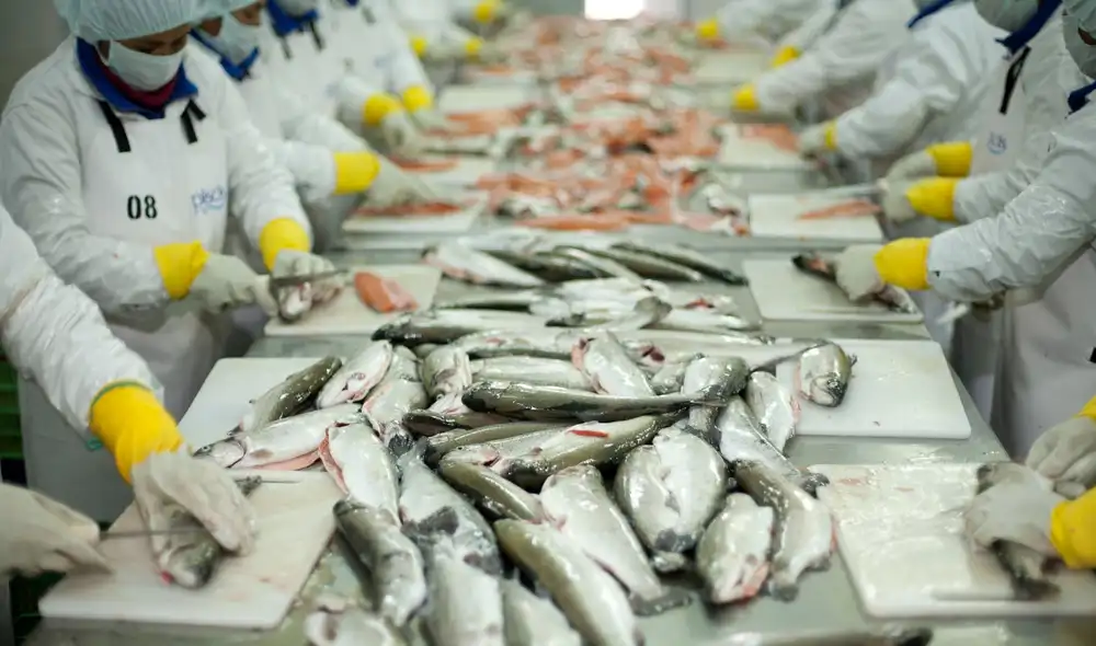 Un total de 18 empresas exportadoras peruanas lograron generar interés comercial por US$ 35,9 millones para los próximos 12 meses. Foto: Mincetur