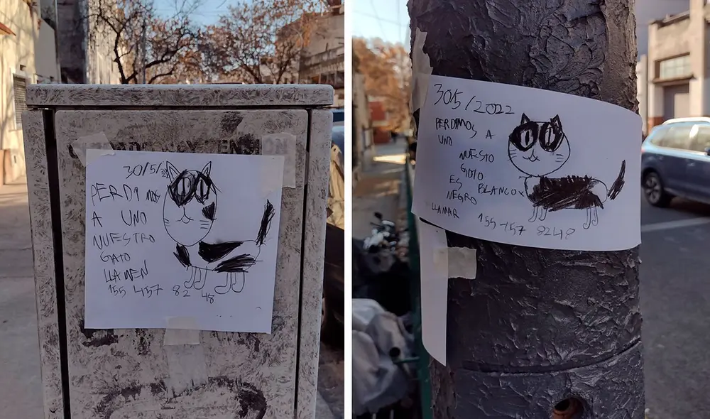 Un transeúnte difundió el tierno cartel para ayudar al menor con el propósito de que volviera a estar con su querida mascota. Foto: @soslayable/ Twitter Un transeúnte difundió el tierno cartel para ayudar al menor con el propósito de que volviera a estar con su querida mascota. Foto: @soslayable/ Twitter