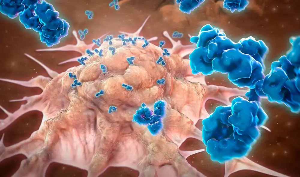 El dostarlimab hace que las células inmunitarias ataquen con más fuerza los tumores. Foto: referencial/Medpage Today El dostarlimab hace que las células inmunitarias ataquen con más fuerza los tumores. Foto: referencial/Medpage Today