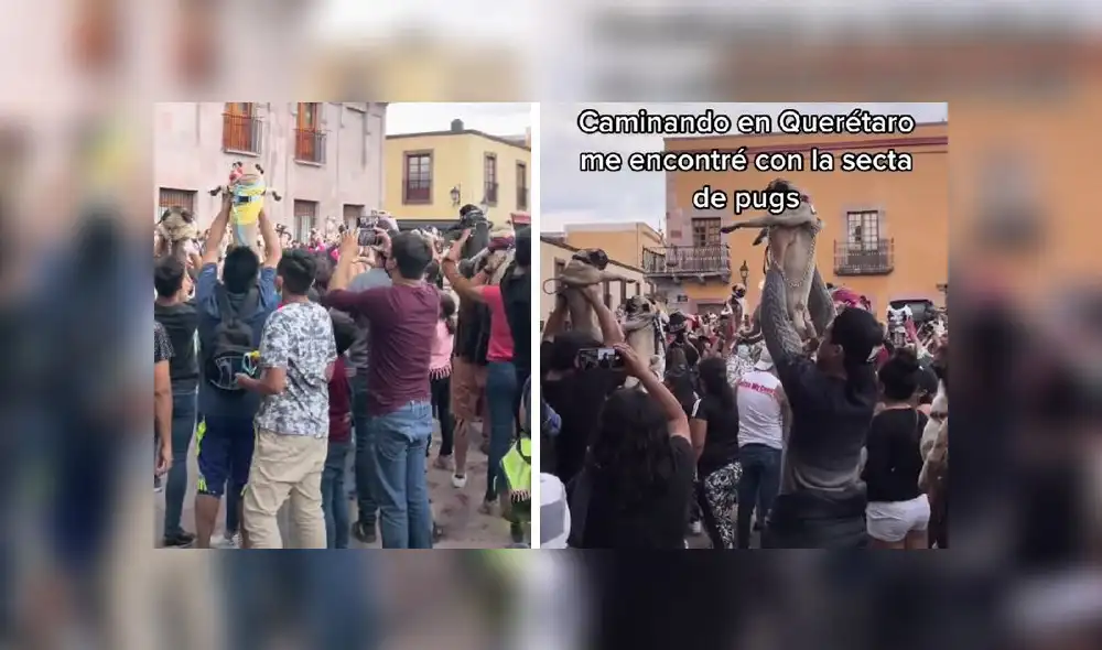 La grabación sumó 4,6 millones de visualizaciones en la red social. Foto: captura de TikTok La grabación sumó 4,6 millones de visualizaciones en la red social. Foto: captura de TikTok