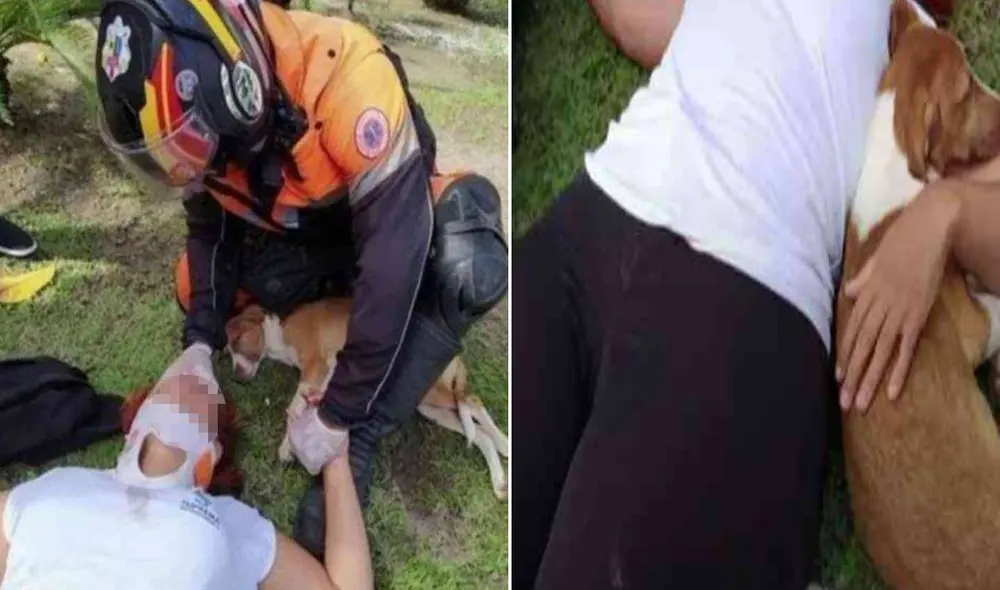 Miles de usuarios han quedado impresionados al ver esta escena. Foto: captura de Facebook Miles de usuarios han quedado impresionados al ver esta escena. Foto: captura de Facebook