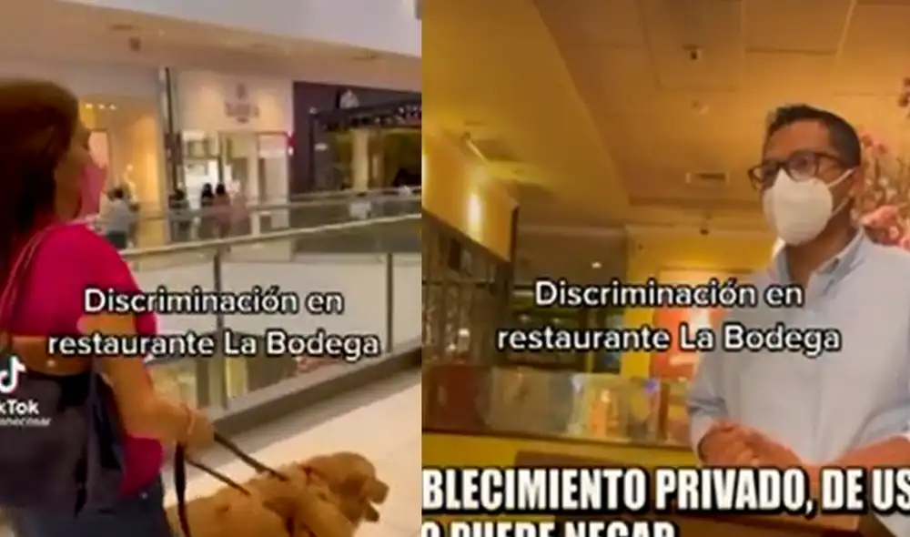 Activista tiene inscritos a dos perros guías. Foto: composición La República / TikTok Jane Cosar Activista tiene inscritos a dos perros guías. Foto: composición La República / TikTok Jane Cosar