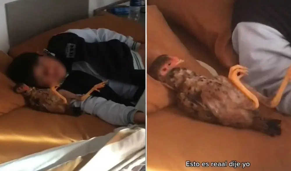 La escena viral compartida por la cuenta Jime (@abriiljime) logró obtener millones de reproducciones y reacciones. Foto: captura de TikTok La escena viral compartida por la cuenta Jime (@abriiljime) logró obtener millones de reproducciones y reacciones. Foto: captura de TikTok