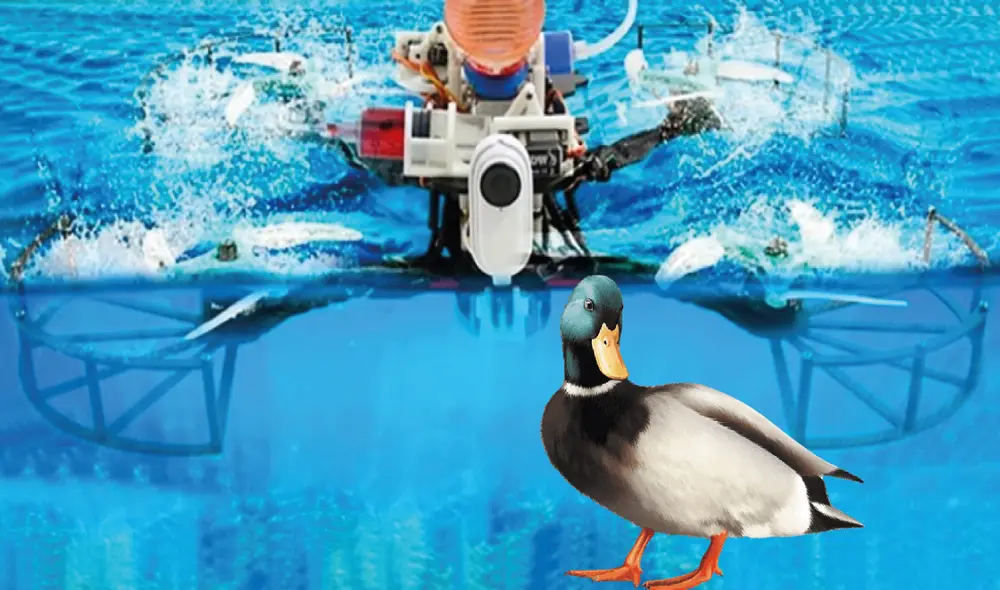 El dron podría imitar lo que hace un pato, pero con una mayor potencia. Foto: composición LR
