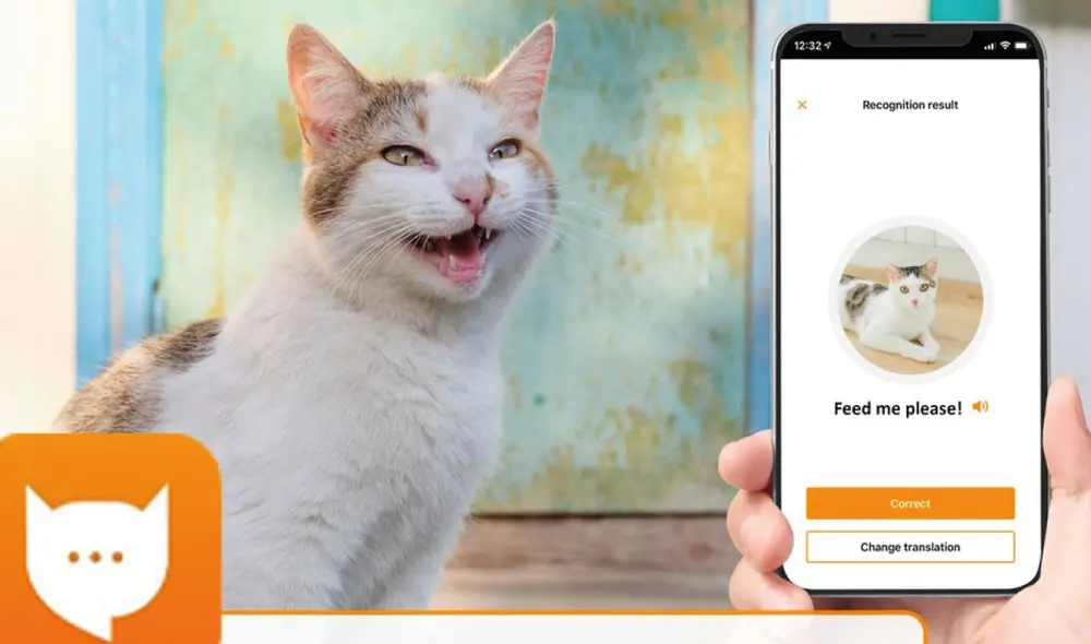 Esta app capta los maullidos de los gatos para interpretarlos en nuestro idioma. Foto: MeowTalk Esta app capta los maullidos de los gatos para interpretarlos en nuestro idioma. Foto: MeowTalk
