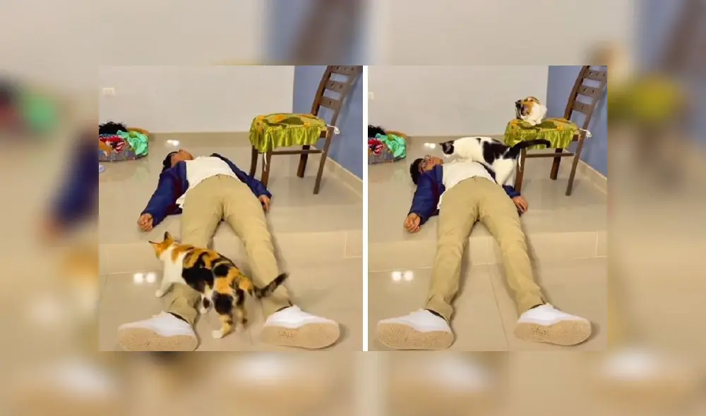 La grabación obtuvo más de 7,4 millones de reproducciones en la red social. Foto: captura de TikTok