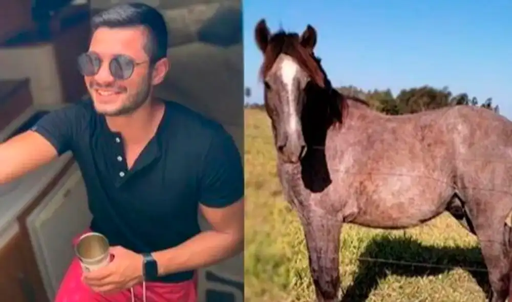 Diogo, el joven brasileño que compró un caballo estando ebrio. Foto: VGNOTICIAS