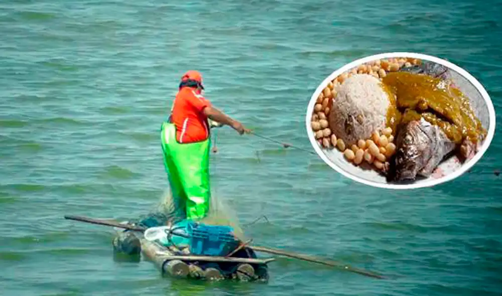 Las lisas son extraídas por lugareños que van en balsillas con aparejos que funcionan como trampas. Foto: difusión