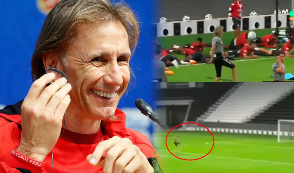 Selección peruana ya está en Qatar para jugar ante Australia el lunes 13 de junio por el repechaje. Foto: composición/EFE/captura