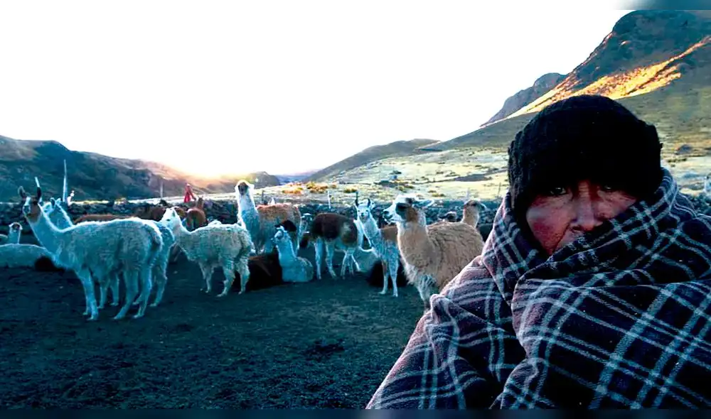 Bajo cero. Autoridades piden a la población cuidarse por bajas temperaturas y heladas.