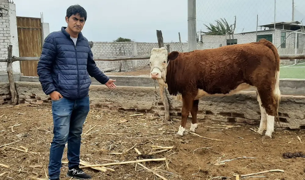 También pidió al Gobierno Central y Regional intervenir en la problemática de los asociados. Foto: Carlos Vásquez/URPI También pidió al Gobierno Central y Regional intervenir en la problemática de los asociados. Foto: Carlos Vásquez/URPI