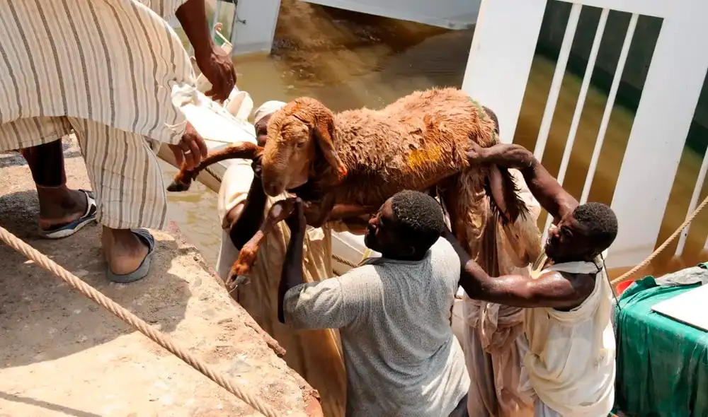 Las pérdidas causadas por el hundimiento del barco en Sudán se estiman en 15 millones de riales saudíes (unos 4 millones de dólares). Foto: EFE/referencial