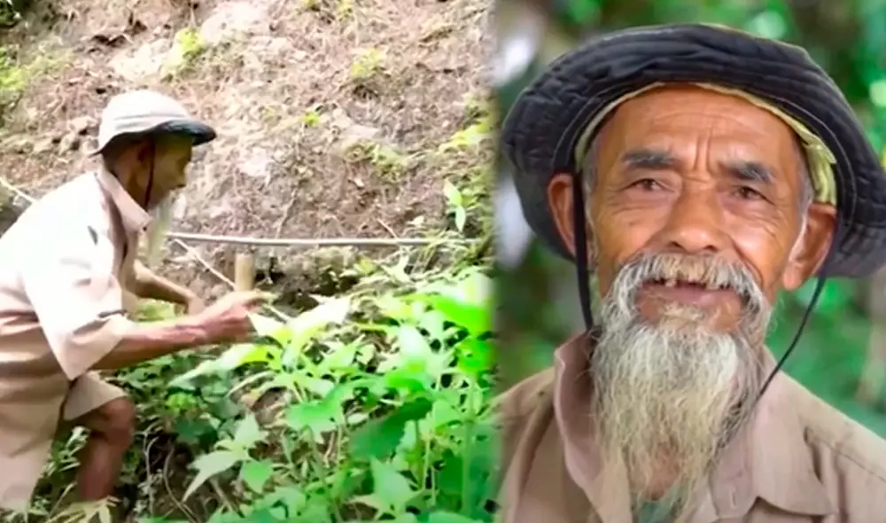 Sandiman pensó en plantar banianos y ficus porque almacenan mucha agua. Foto: captura de DW/El Tiempo Sandiman pensó en plantar banianos y ficus porque almacenan mucha agua. Foto: captura de DW/El Tiempo