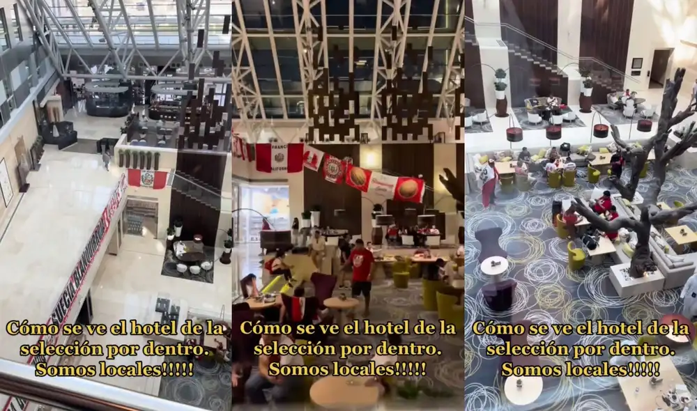 El clip es viral en TikTok y otras redes sociales. Foto: TikTok