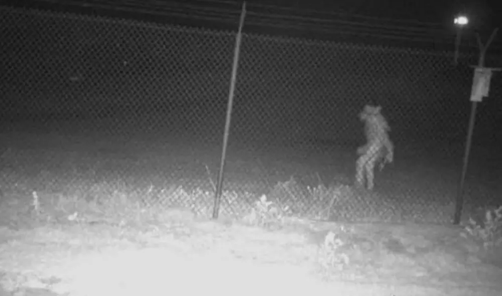 Pese al tono jocoso de la publicación original, las autoridades locales han sido claros en señalar que la imagen no está trucada. Foto: City of Amarillo, Texas / Facebook