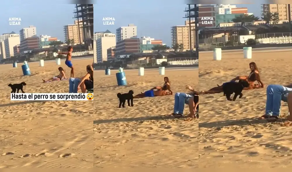 Hasta el perrito quedó sorprendido con la pirueta del chico. Foto: composición/ @animalizar/Instagram
