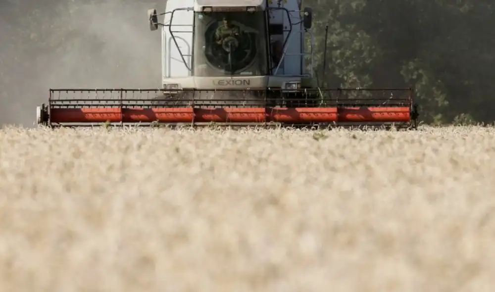 Antes de la guerra, tenían más de 30 millones de hectáreas de tierra cultivable. Foto: Reuters