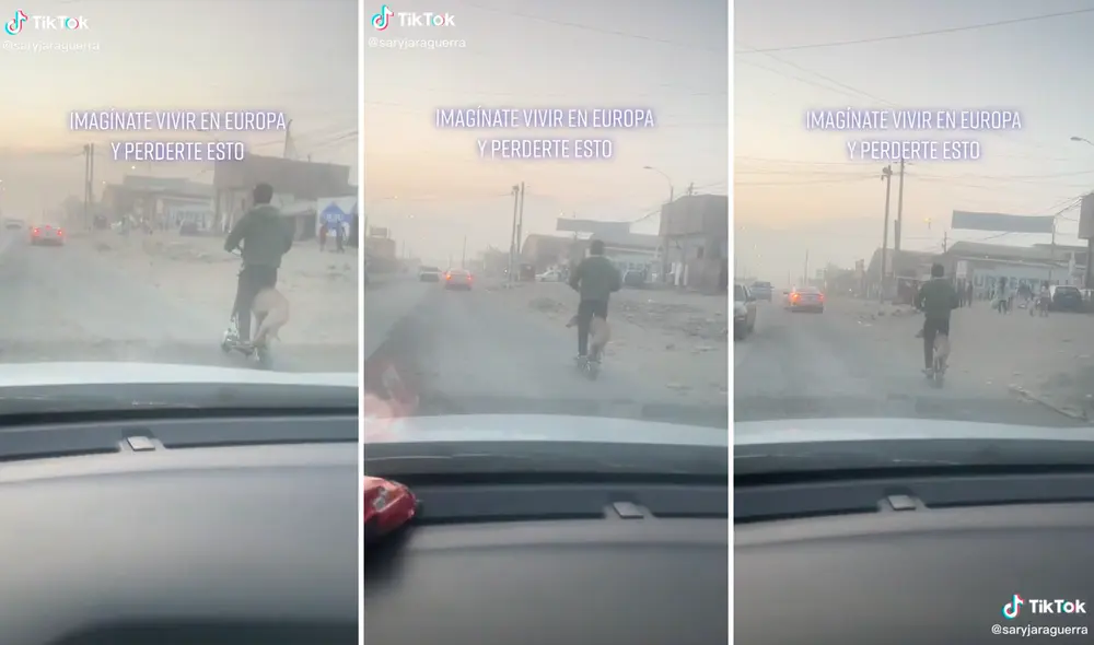 El perrito no se movía ni hacía una maniobra brusca con la finalidad de evitar caerse del scooter. Foto: captura de TikTok