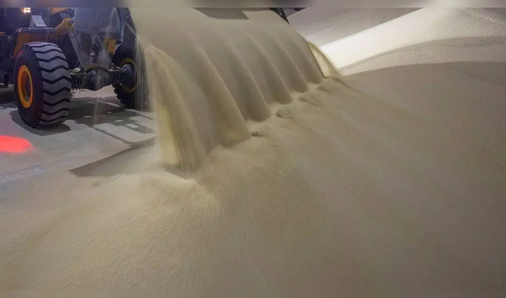 Las exportaciones rusas de fertilizantes han descendido un 24% este año. Foto: Bloomberg Las exportaciones rusas de fertilizantes han descendido un 24% este año. Foto: Bloomberg