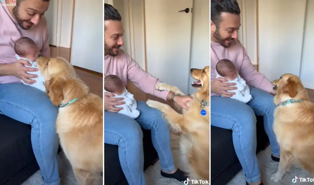 La viral escena compartida por la usuaria Mosol (@mosol24) logró obtener miles de reproducciones y reacciones en poco tiempo. Foto: captura de TikTok La viral escena compartida por la usuaria Mosol (@mosol24) logró obtener miles de reproducciones y reacciones en poco tiempo. Foto: captura de TikTok