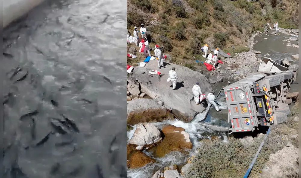 Fallecimiento de truchas fue producto de la contaminación por el zinc. Foto: composición/ captura de Twitter/ difusión