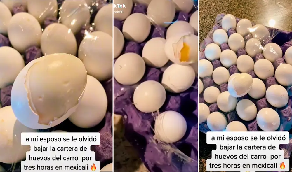 El calor llegó a sus niveles máximos, lo que generó que en solo 3 horas el alimento estuviera ‘listo para comer’. Foto: captura de TikTok El calor llegó a sus niveles máximos, lo que generó que en solo 3 horas el alimento estuviera ‘listo para comer’. Foto: captura de TikTok