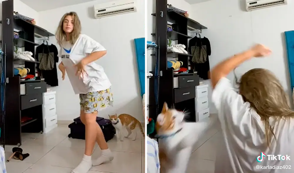 La grabación obtuvo alrededor de 4 millones de reproducciones en la red social. Foto: captura de TikTok