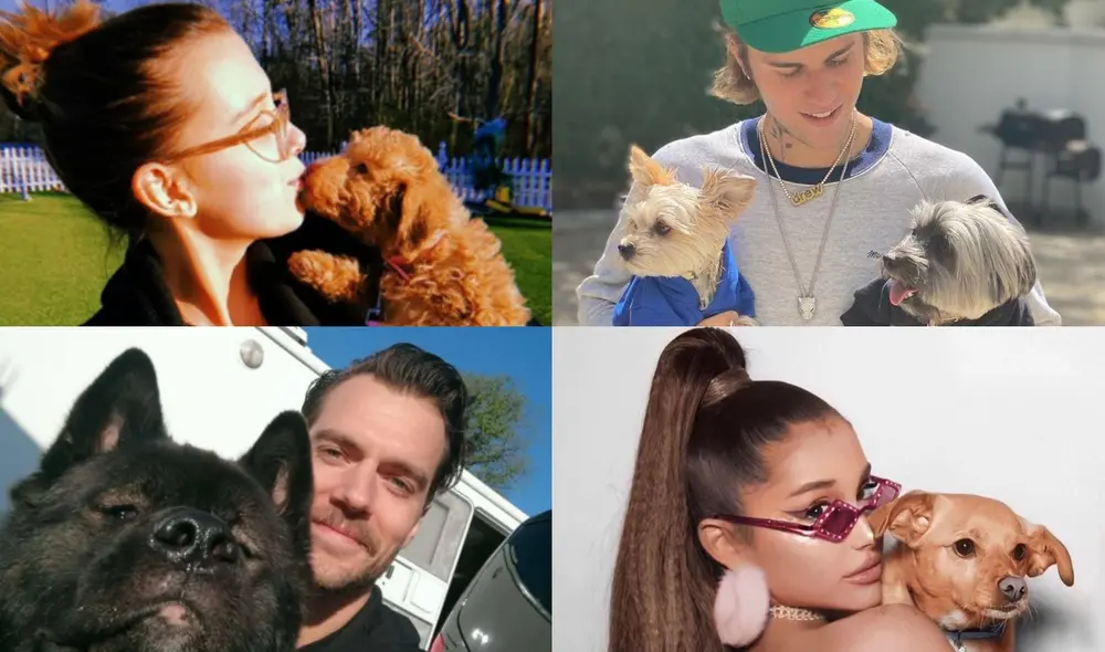 Las celebridades de Hollywood han encontrado amor y compañía junto a sus amigos de cuatro patas. Foto: composición/La República