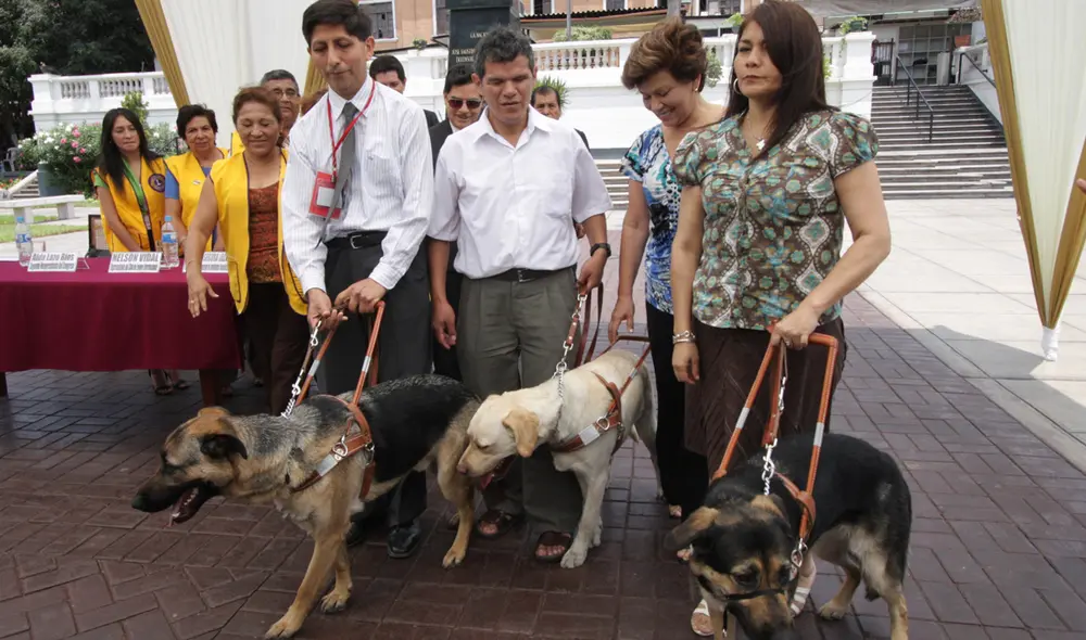 Jane Cosar presentó la ley 29830 ante el Congreso de la República. Hay más personas con perros guías, pero no han sido inscritos en el Conadis. Foto: La República