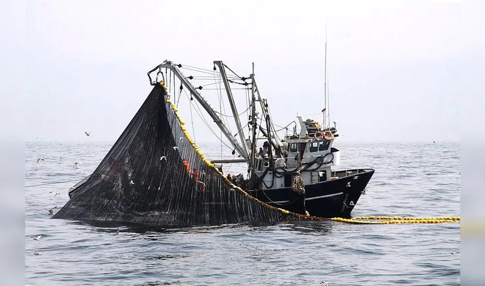 La biomasa del stock norte centro 2022 es de 9 millones 780.370 toneladas. Foto: Produce