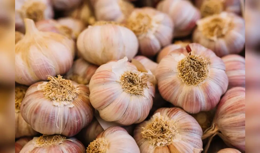 Por primera vez, se ha realizado la exportación de más de 60 toneladas de ajos de Acora (Puno) hacia Colombia y Ecuador. Foto: difusión