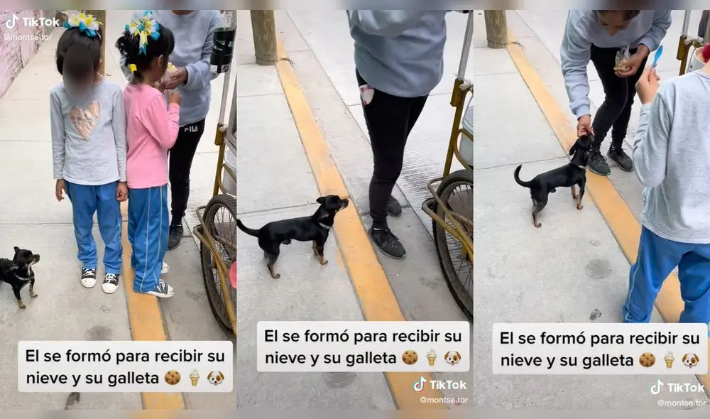 Todos los niños respetaron su fila e hicieron su cola en calma. Foto: composición/ @montse.tor/TikTok