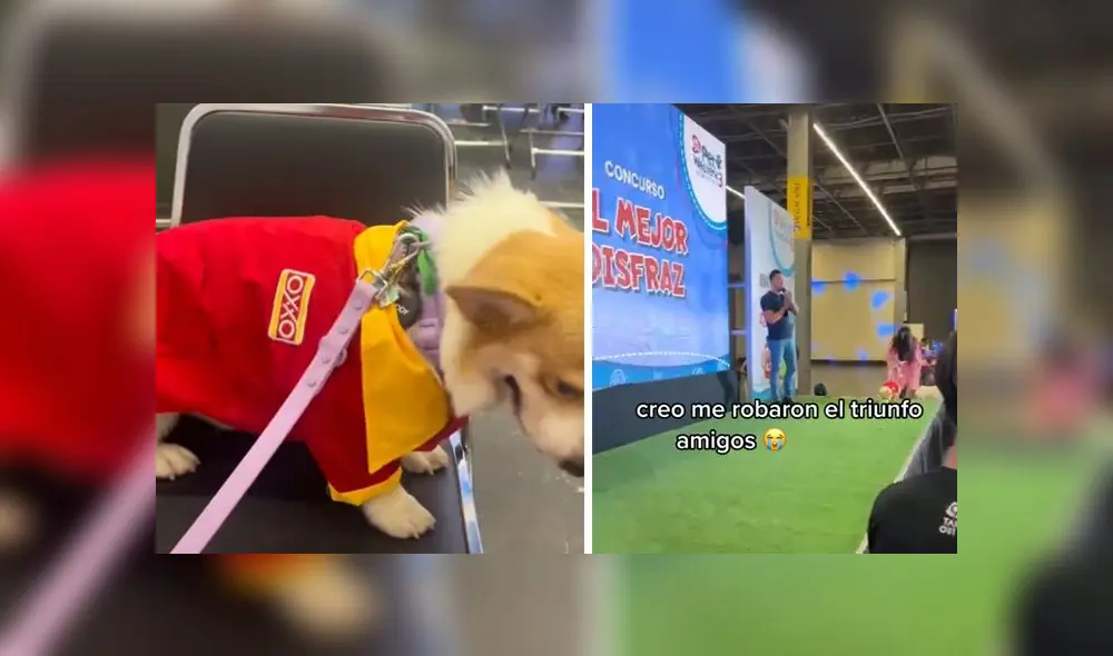 Roddy se presentó al concurso y lució su singular trajecito de la conocida cadena de tiendas. Foto: composición/ captura de TikTok