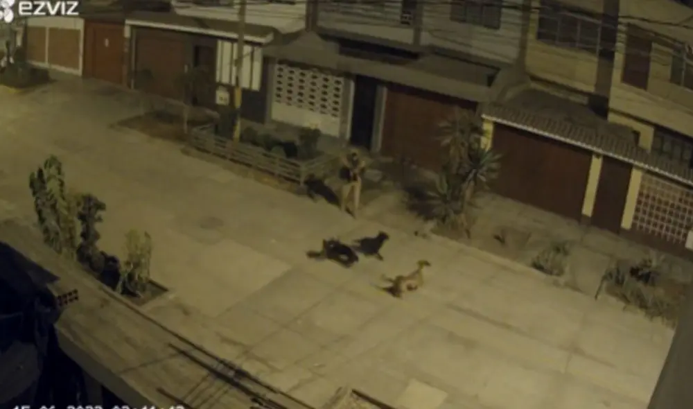 Vecinos piden mayor seguridad en la zona. Foto: captura de cámaras de seguridad/difusión