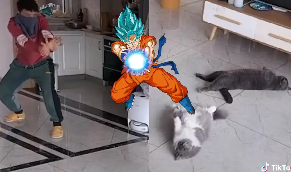 Los gatitos jugaron con su dueño y sorprendieron al tirarse al suelo como parte de su actuación. Foto: captura de TikTok