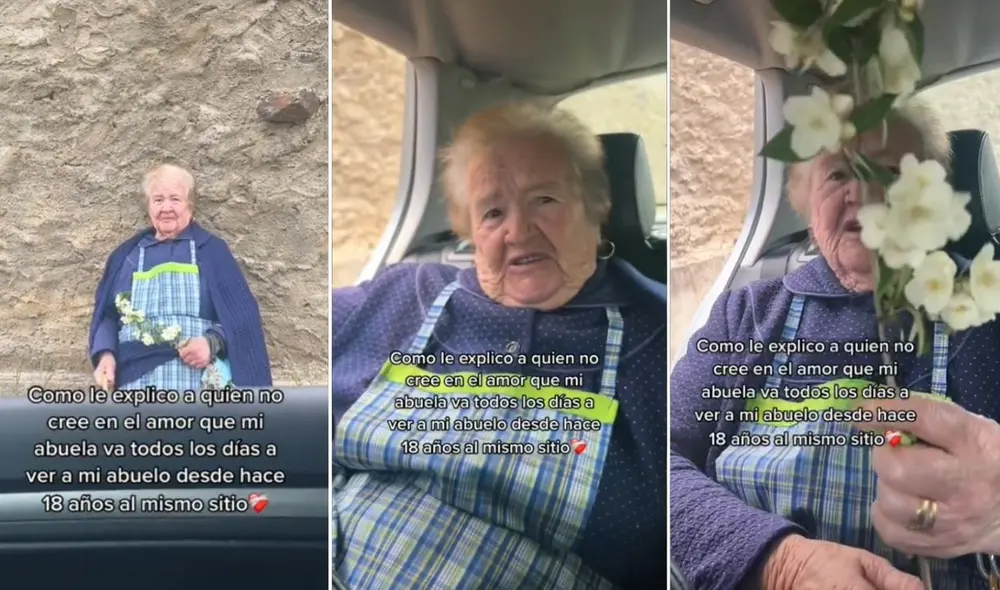 La viral escena compartida por la cuenta Lu (@luu_sia) logró obtener más de 3 millones de reproducciones y miles de reacciones. Foto: captura de TikTok La viral escena compartida por la cuenta Lu (@luu_sia) logró obtener más de 3 millones de reproducciones y miles de reacciones. Foto: captura de TikTok