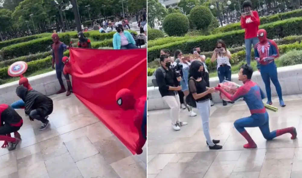 Miles de usuarios quedaron conmovidos con esta tierna escena. Foto: captura de TikTok