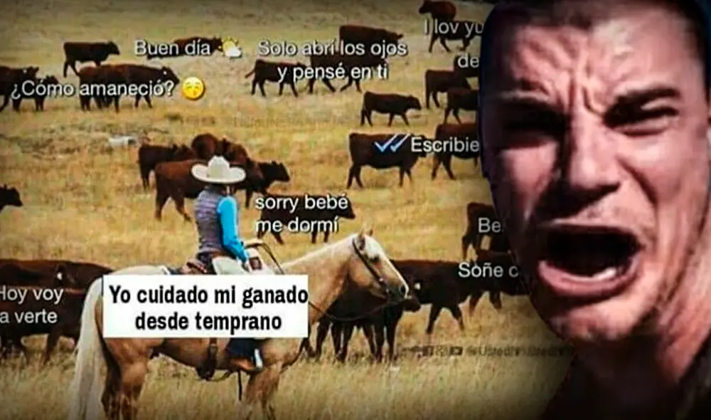 Foto: Google Foto: Google