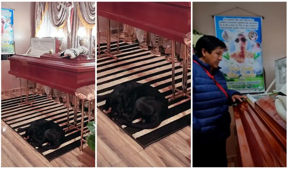 El clip fue compartido en Facebook y otras redes sociales. Foto: composición/ Facebook El clip fue compartido en Facebook y otras redes sociales. Foto: composición/ Facebook