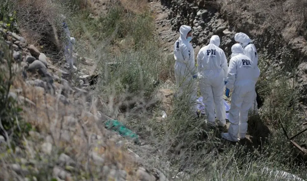 El dueño de la mascota quedó perplejo con el hallazgo y llamó inmediatamente a las autoridades. Foto: referencial / Diario Usach El dueño de la mascota quedó perplejo con el hallazgo y llamó inmediatamente a las autoridades. Foto: referencial / Diario Usach