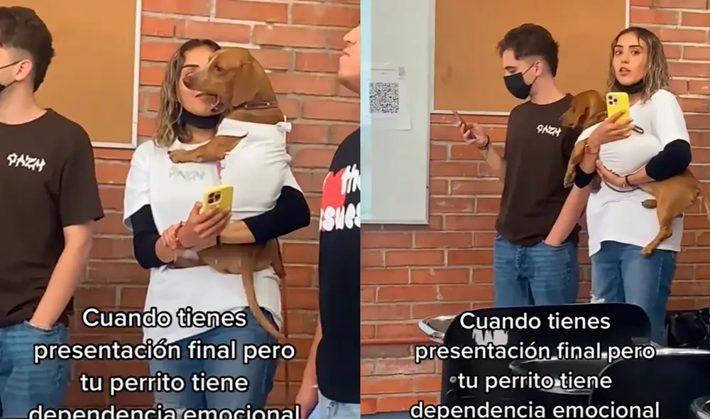 El perrito se quedó quieto en los brazos de su ama para no interrumpir en su exposición. Foto: composición/ captura de TikTok