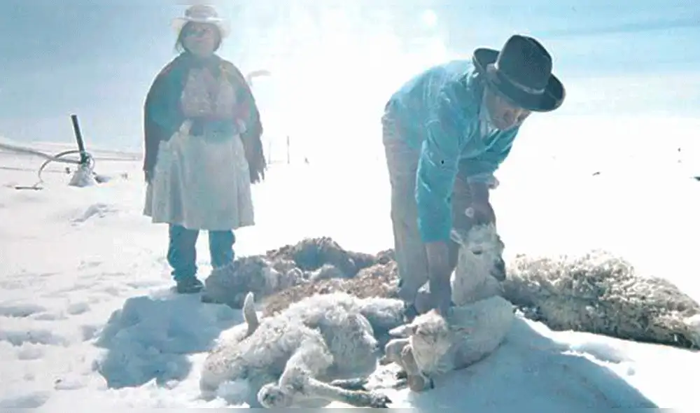 Ciudadanos piden apoyo a las autoridades para recibir donaciones. Foto: Archivo La República