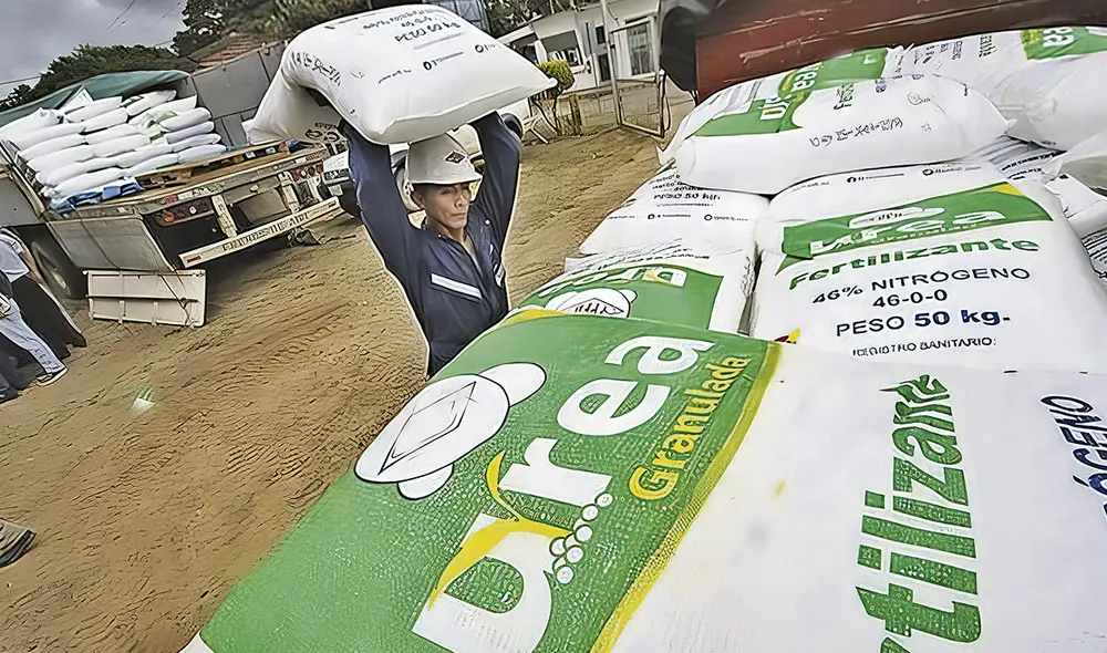 Gran diferencia. La propuesta de la empresa GIG no solo era la más barata sino también más conveniente porque entregaba el producto más rápido. Foto: difusión