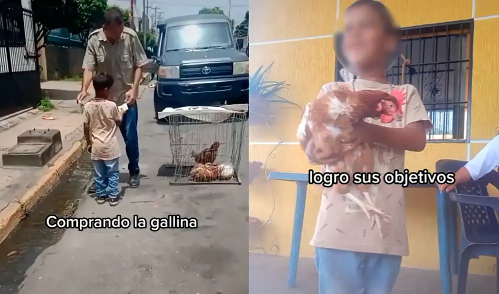 El pequeño conmovió a miles de usuarios con su sueño de tener un ave como mascota. Foto: captura de TikTok