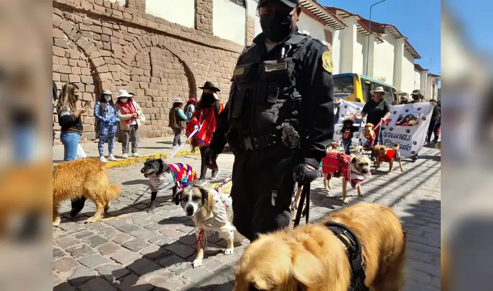 Cusco. Mascotas participaron de colorido pasacalle. Foto: La República